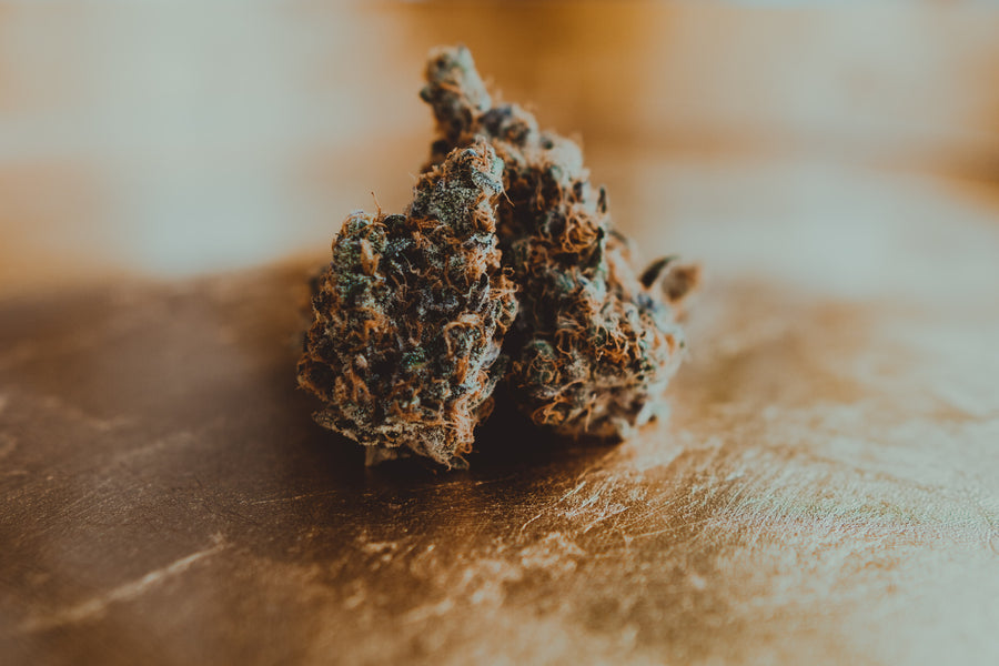 Understanding the Different Types of Cannabis Strains | The Medicine Woman